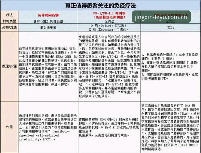 最新站内人心照的平静同类数据对比 站内人心照的平静同类数据对比的5个常见误区与避坑指南
